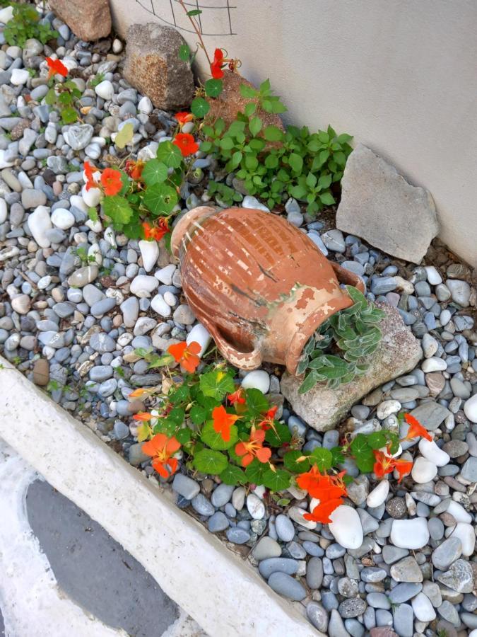 Studio In Garden Poros Town Exterior photo